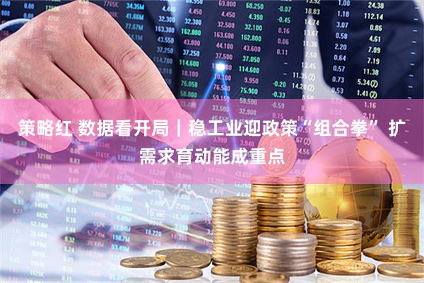 策略红 数据看开局｜稳工业迎政策“组合拳” 扩需求育动能成重点