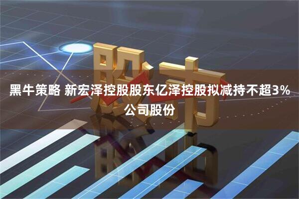 黑牛策略 新宏泽控股股东亿泽控股拟减持不超3%公司股份