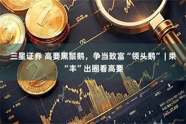 三星证券 高要黑鬃鹅，争当致富“领头鹅” | 乘“丰”出圈看高要