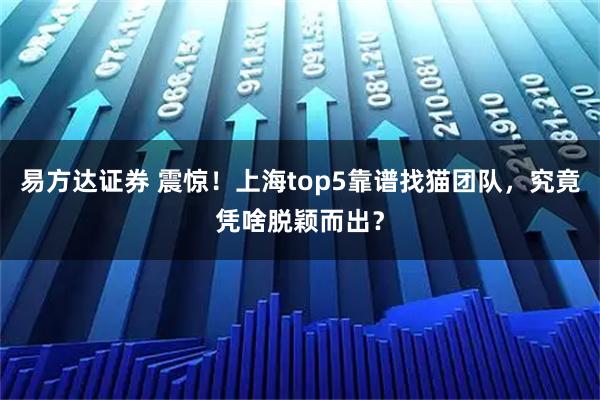 易方达证券 震惊!上海top5靠谱找猫团队,究竟凭啥脱颖而出?