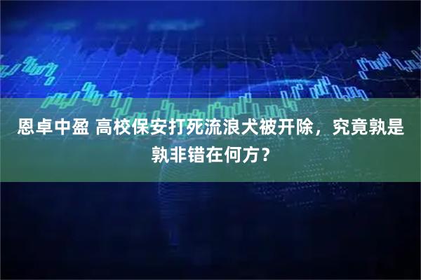 恩卓中盈 高校保安打死流浪犬被开除,究竟孰是孰非错在何方?