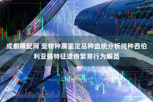 成都赚配网 宠物种属鉴定品种血统分析纯种西伯利亚猫特征遗传繁育行为解觅