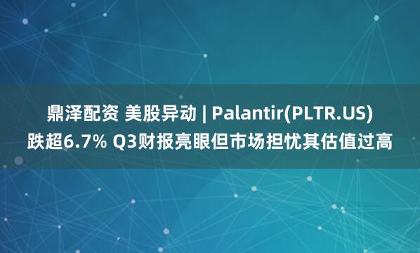 鼎泽配资 美股异动 | Palantir(PLTR.US)跌超6.7% Q3财报亮眼但市场担忧其估值过高