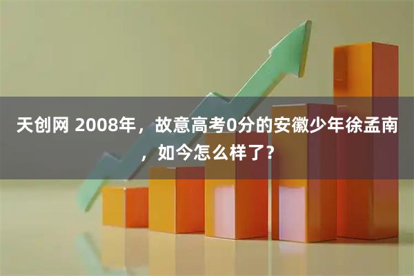 天创网 2008年，故意高考0分的安徽少年徐孟南，如今怎么样了？