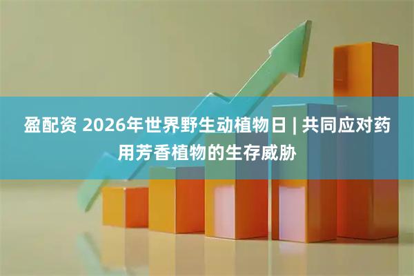 盈配资 2026年世界野生动植物日 | 共同应对药用芳香植物的生存威胁
